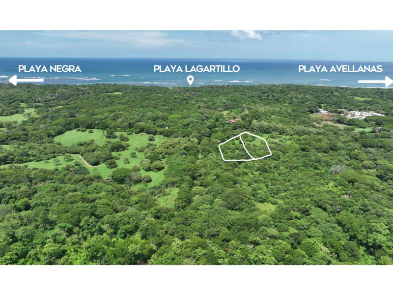 Land For Sale in Avellanas Costa Rica